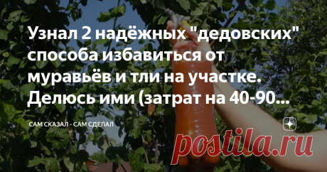 Узнал 2 надёжных "дедовских" способа избавиться от муравьёв и тли на участке. Делюсь ими (затрат на 40-90 рублей) Приветствую, дорогой читатель! Муравьи и тля на участке - два постоянных врага почти любого дачника. Первые могут беспокоить вас во время отдыха, вторые же атакуют рассаду. Борьба с ними может даться тяжело, если не знать пары хитростей, но на самом деле ничего сложного в этом нет, и это всего лишь вопрос 40-90 рублей (в зависимости от того, с кем боритесь). Сп...