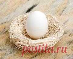 4 июня в народном календаре Василиск