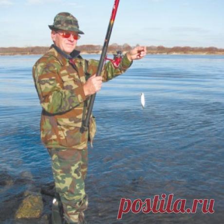 В предзимье - МирТесен