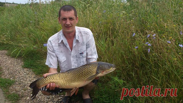 Иван Тицов
33 года, Россия, Москва
