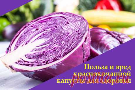 Польза и вред краснокочанной капусты для здоровья | Полезные советы