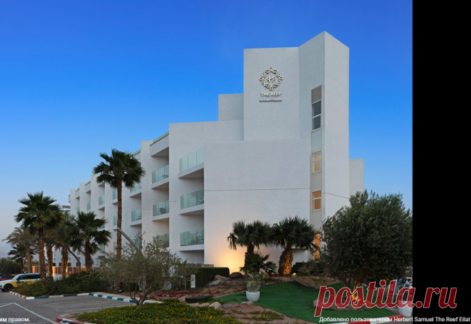 Google Поиск отелей