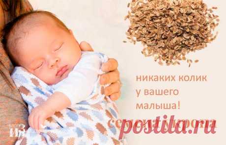 Семена укропа. Полезные свойства. Лечение. Применение. Противопоказания | Блог Ирины Зайцевой