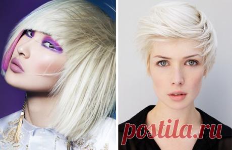 Платиновый цвет волос (36 фото): видео-инструкция по окрашиванию своими руками, какую выбрать краску для блондинок, фото и цена