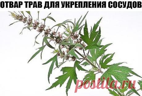 (20) Одноклассники