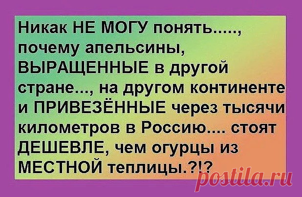 Выпуск №6388 - выпуск анекдотов сайта вокруг смеха
