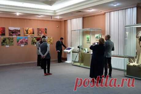 В Казани открылась выставка «Заповедный Татарстан». В Музее естественной истории Татарстана 12 ноября открылась выставка «Заповедный Татарстан», приуроченная к 100-летнему юбилею со дня появления дендрария Волжско-Камского государственного природного биосферного заповедника. Об этом сообщает пресс-служба музея-заповедника «Казанский Кремль».