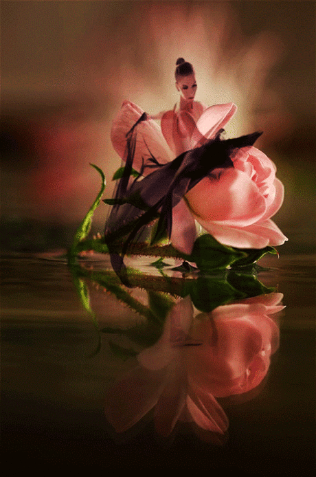 Ellen Tamme – Google+