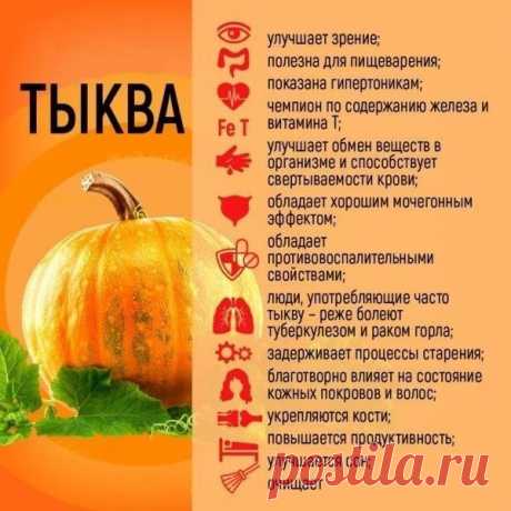 Польза тыквы
