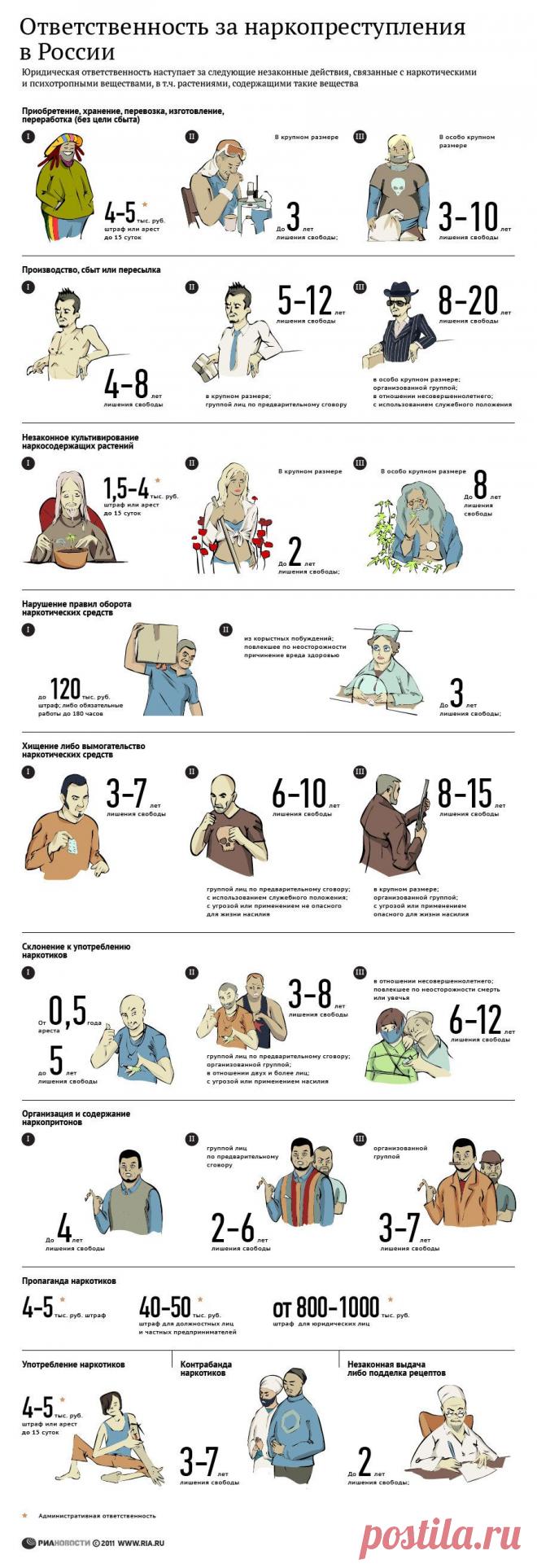 Наглядная схема ответственности за наркотики. Купить семена конопли в HollandSeedsRu® - законно! - Blog