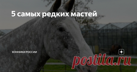 5 самых редких мастей Масть отвечает за окрас волос, кожи и глаз.