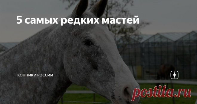 5 самых редких мастей Масть отвечает за окрас волос, кожи и глаз.