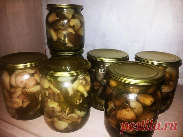 Грибы маринованные на зиму - 5 вкусных рецептов приготовления