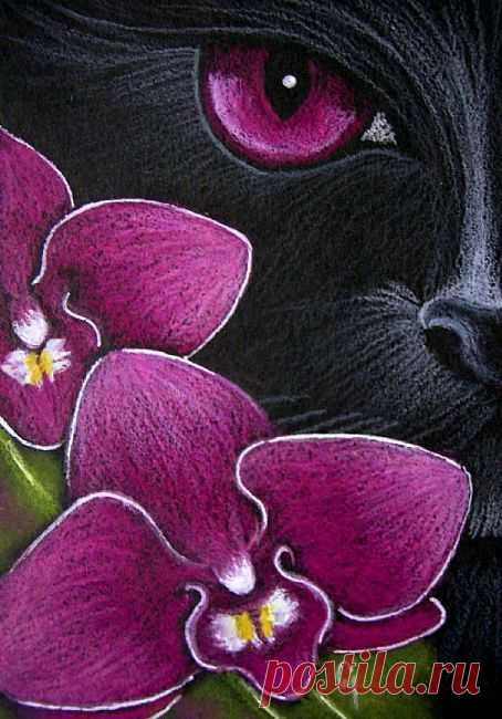 Найдено на сайте ebsqart.com.