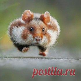 Omigu » Лучшие Фотографии