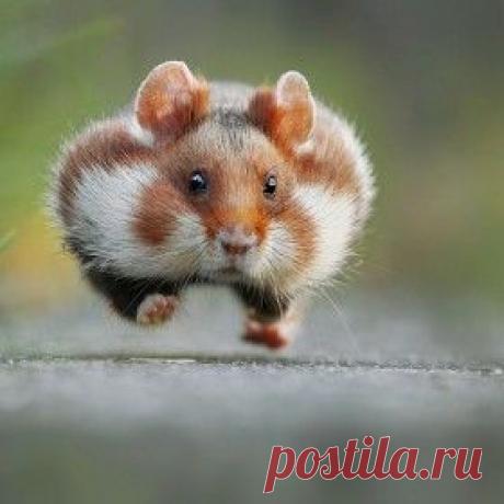 Omigu » Лучшие Фотографии