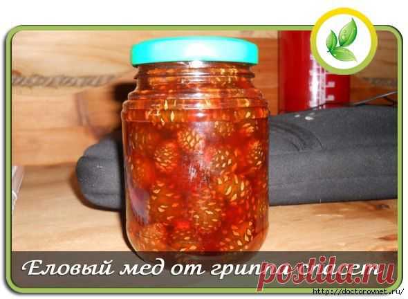 Еловый мед от гриппа спасает