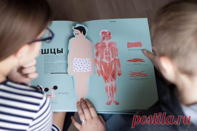 Иллюстрированный атлас по анатомии Книга «Анатомия» в доступной, понятной и интересной форме рассказывает об устройстве человеческого тела и работе всех систем организма. Иллюстрации в книге выполнены с помощью лазерной резки. Когда страницы наложены друг на друга, мы видим полную картину строения человеческого тела. Когда листаем страницы по одной, можем рассмотреть разные системы, понять, как и почему они работают. Вырезанные клапаны помогают заглянуть внутрь организма. Например, знакомясь с…