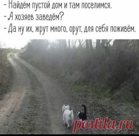 (40) Вам И Не Снилось...