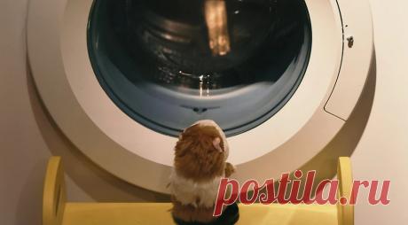 Стиральная машина скачет при отжиме: как это исправить