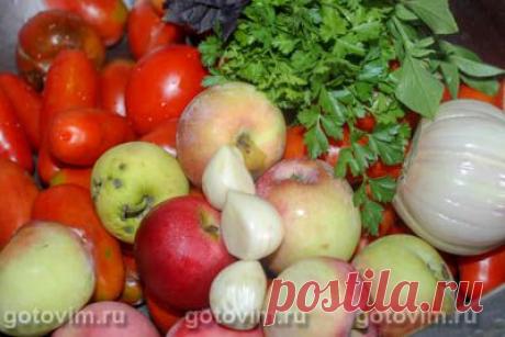 Краснодарский соус. Рецепт с фото / Готовим.РУ