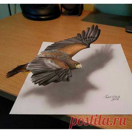 #рисунок #иллюзия #творчество #интересно #красиво #птица