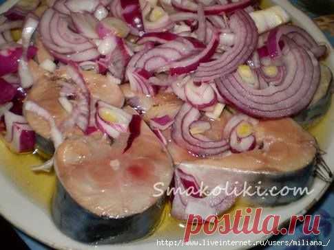 Скумбрия быстрого посола