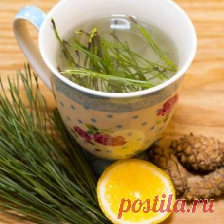 Еловый отвар для очищения