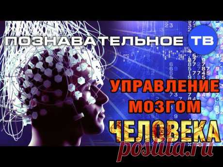 Управление мозгом человека (Познавательное ТВ, Сергей Савельев)