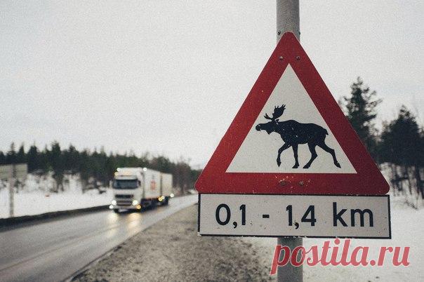 Эстетика Норвегии 🇳🇴 / Солнышко