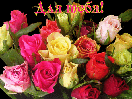 0_142fff_916761b9_orig.gif (1024×768)