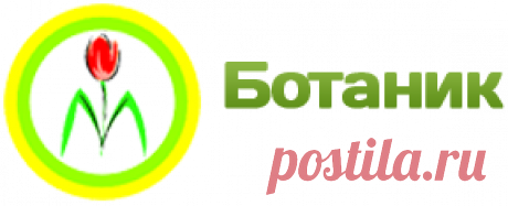 Фритиллярия Раскаль Бах