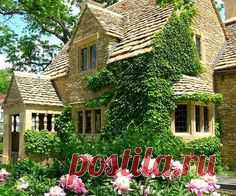 дворцы и дома