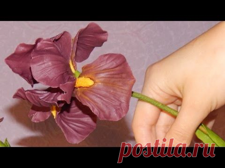 Ирис из холодного фарфора \ Iris of cold porcelain - YouTube