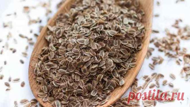 Чтобы забыть о давлении нужно взять горсть семян укропа. Через неделю будете здоровы! — Копилочка полезных советов