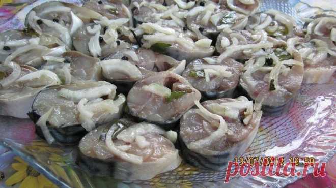 Скумбрия 