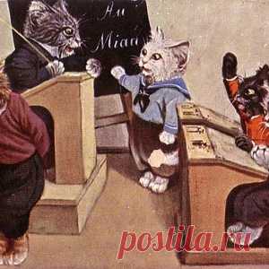Как наказывать котов