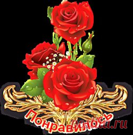 ��������� �������� �� �������. ���������� �� LiveInternet - ���������� ������ ������-���������