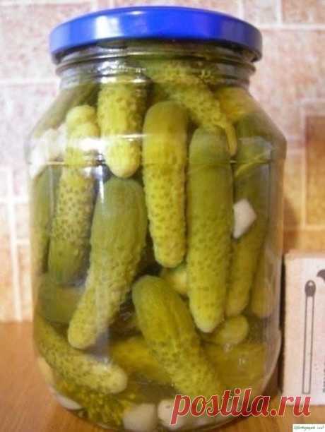 КОРНИШОНЫ МАРИНОВАННЫЕ