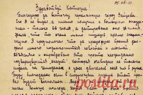 Не хватает подлинных чувств. Как изучают блокаду в XXI веке?. ​«Парламентская газета» представила общественности проект «Письма из Ленинграда», приуроченный к 80-летию освобождения города от фашистской блокады.