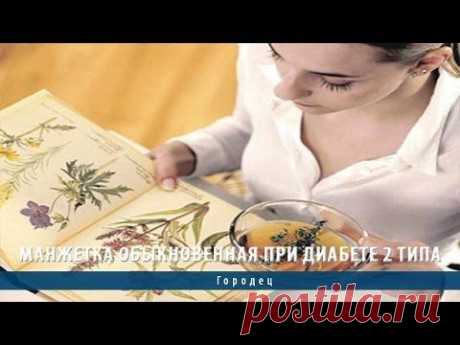 Манжетка обыкновенная при диабете 2 типа - YouTube