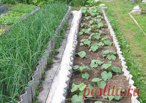 ЛИЧНЫЙ опыт создания ОРГАНИЧЕСКОГО ОГОРОДА