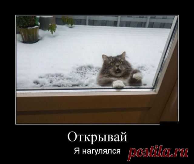 Подборка смешных демотиваторов