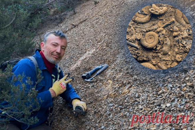 🔥 Уникальный ископаемый пласт открыт во Франции
👉 Читать далее по ссылке: https://lindeal.com/news/2024021305-unikalnyj-iskopaemyj-plast-otkryt-vo-francii