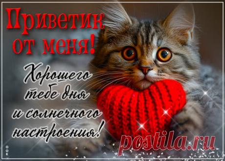 Тепло тебя приветствую
В такой прекрасный час,
Желаю благоденствия
И радости запас.