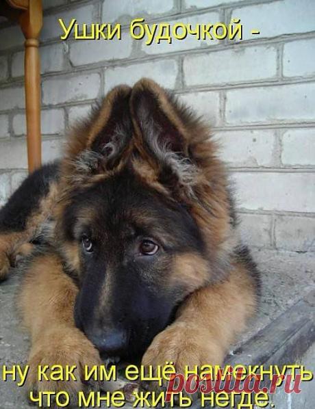 Где найти такую лужу?)))