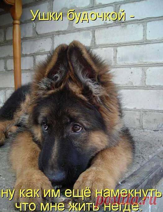 Где найти такую лужу?)))