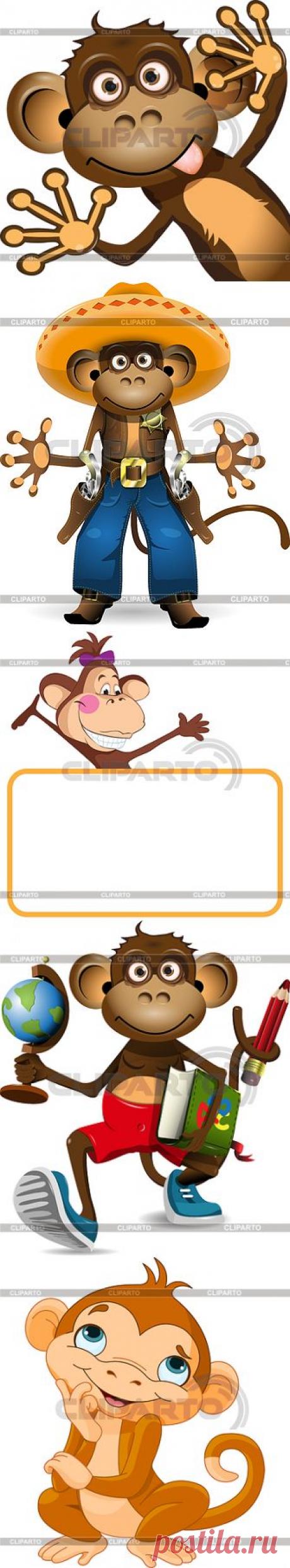 Обезьяна | Фото большого размера и векторный клипарт |