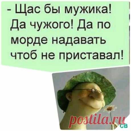Новости - МирТесен