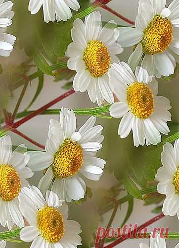 alleena — «0_8f43d_f6862be0_XL.jpg» на Яндекс.Фотках